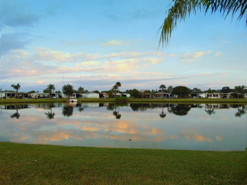 Lake Views